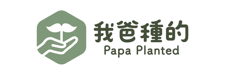 我爸種的Papaplanted